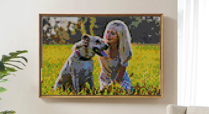 Customized Push Pin Art For Pets